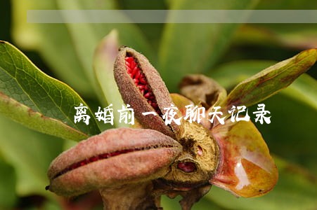 离婚前一夜聊天记录 离婚前一夜聊天记录