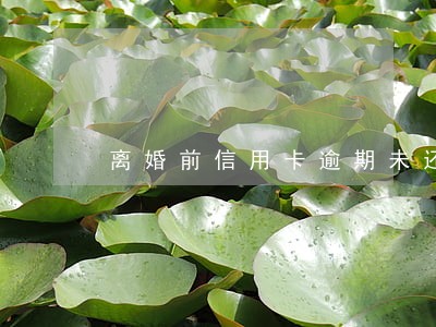 离婚前信用卡逾期未还 离婚前信用卡逾期未还