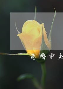 离婚前夫妻双方贷的款 离婚前夫妻双方贷的款