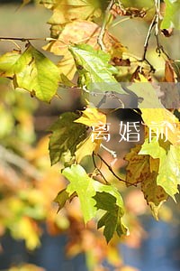 离婚前夫妻怎么调节心情 离婚前夫妻怎么调节心情