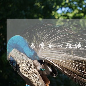 离婚前心理辅导记录 离婚前心理辅导记录