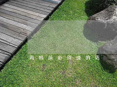 离婚前必须说的话