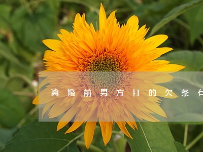 离婚前男方打的欠条有效吗 离婚前男方打的欠条有效吗