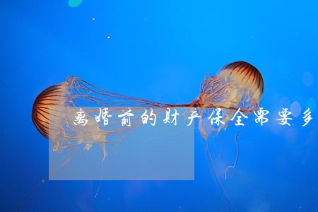 离婚前的财产保全需要多久 离婚前的财产保全需要多久