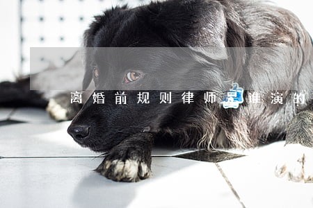 离婚前规则律师是谁演的 离婚前规则律师是谁演的