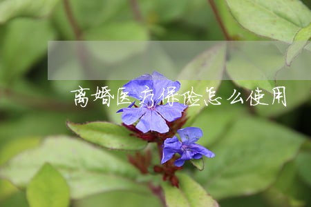 离婚医疗保险怎么使用 离婚医疗保险怎么使用