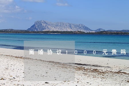 离婚协议1000元贵吗 离婚协议1000元贵吗