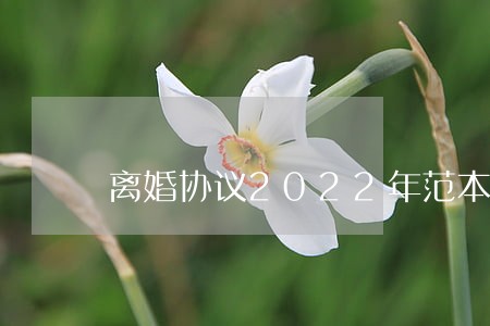 离婚协议2022年范本 离婚协议2022年范本