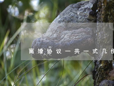 离婚协议一共一式几份 离婚协议一共一式几份