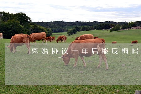 离婚协议一年后能反悔吗 离婚协议一年后能反悔吗