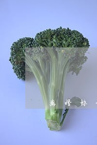 离婚协议一方有钱怎么办 离婚协议一方有钱怎么办