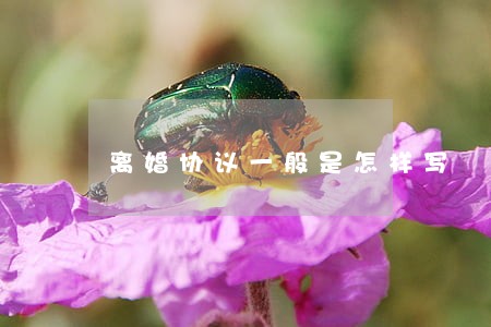 离婚协议一般是怎样写 离婚协议一般是怎样写