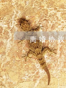离婚协议上写居住权有效吗 离婚协议上写居住权有效吗