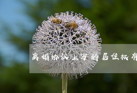 离婚协议上写的居住权有效吗 离婚协议上写的居住权有效吗