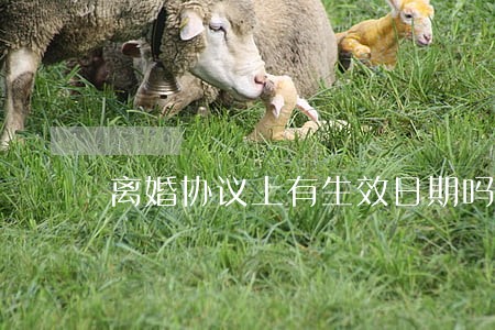 离婚协议上有生效日期吗 离婚协议上有生效日期吗