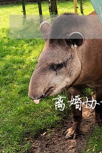 离婚协议上的房子有效吗 离婚协议上的房子有效吗