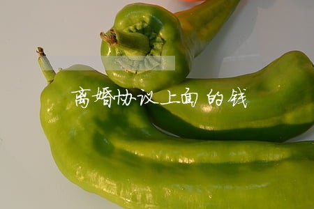 离婚协议上面的钱 离婚协议上面的钱