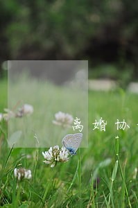 离婚协议不履行犯法吗 离婚协议不履行犯法吗