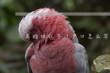 离婚协议不迁户口怎么写 离婚协议不迁户口怎么写