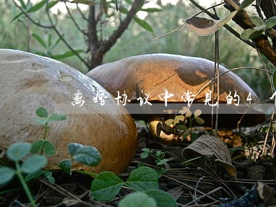 离婚协议中常见的4个坑 离婚协议中常见的4个坑