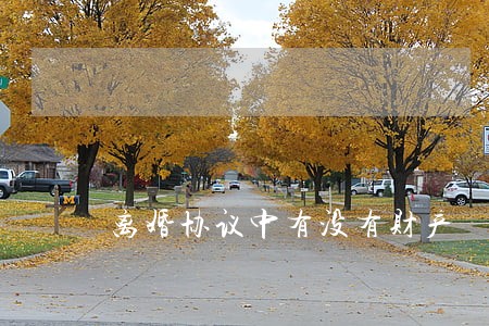 离婚协议中有没有财产 离婚协议中有没有财产