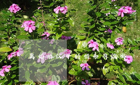 离婚协议中的借条有效吗 离婚协议中的借条有效吗