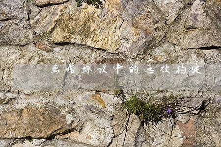 离婚协议中的无效约定 离婚协议中的无效约定