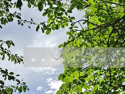 离婚协议中的陷阱和无效 离婚协议中的陷阱和无效