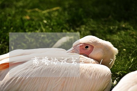 离婚协议书2017 离婚协议书2017