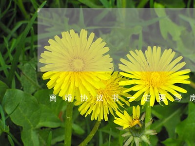 离婚协议书一定要写房产吗 离婚协议书一定要写房产吗