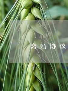离婚协议书上房产地址