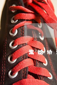 离婚协议书上有复婚证吗 离婚协议书上有复婚证吗