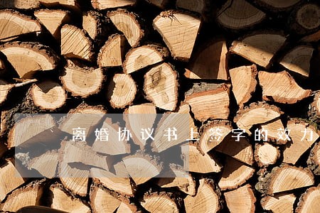 离婚协议书上签字的效力 离婚协议书上签字的效力