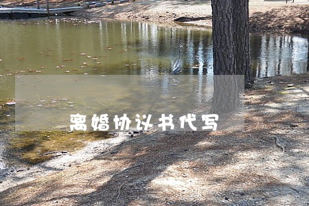 离婚协议书代写 离婚协议书代写