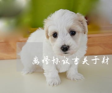 离婚协议书关于财产分割怎么写