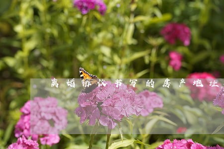 离婚协议书写的房产地址 离婚协议书写的房产地址
