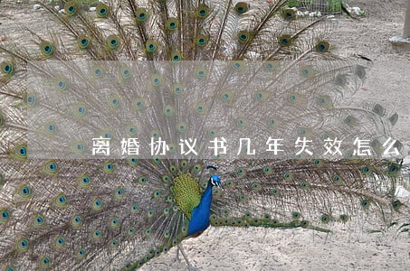 离婚协议书几年失效怎么办