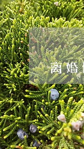 离婚协议书分割财产怎么写范本