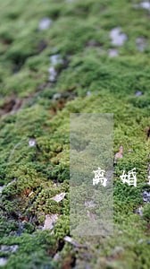离婚协议书到哪里去取 离婚协议书到哪里去取