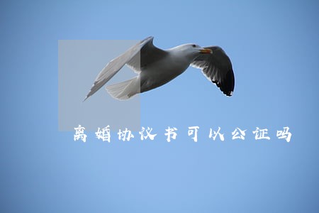 离婚协议书可以公证吗 离婚协议书可以公证吗