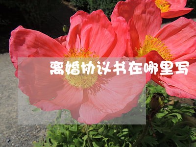 离婚协议书在哪里写 离婚协议书在哪里写