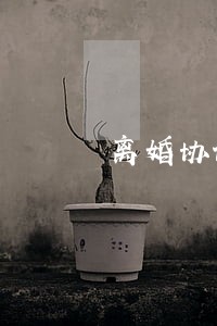 离婚协议书好了彩虹糖 离婚协议书好了彩虹糖