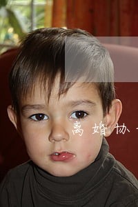 离婚协议书子女年龄较小 离婚协议书子女年龄较小