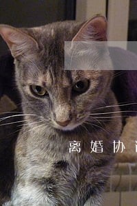 离婚协议书对方反悔了