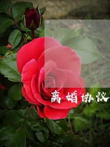 离婚协议书律师