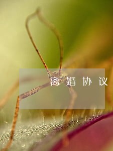 离婚协议书怎么写2022年男 离婚协议书怎么写2022年男