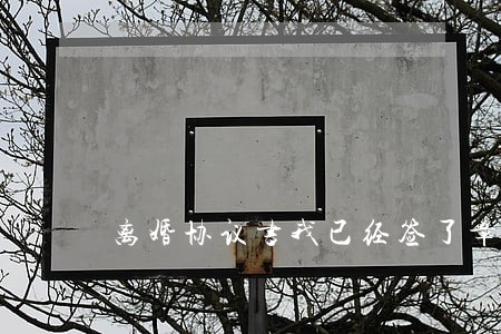 离婚协议书我已经签了章 离婚协议书我已经签了章
