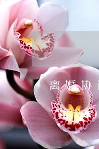 离婚协议书房子 离婚协议书房子