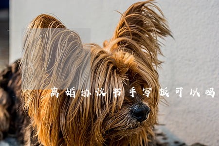 离婚协议书手写板可以吗 离婚协议书手写板可以吗