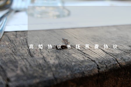 离婚协议书抚养费协议